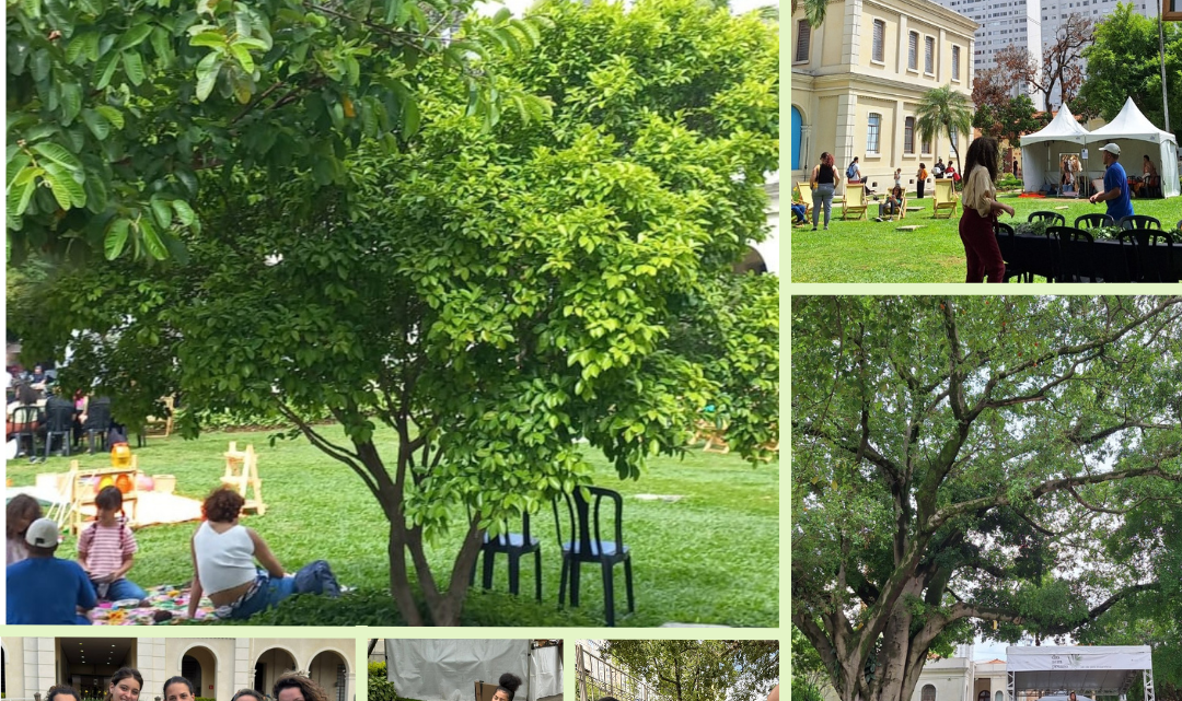 Dia sem pressa – 8a edição