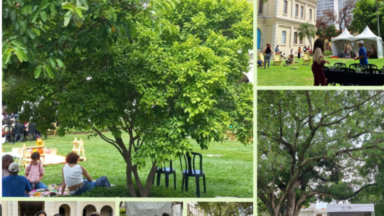 Dia sem pressa – 8a edição